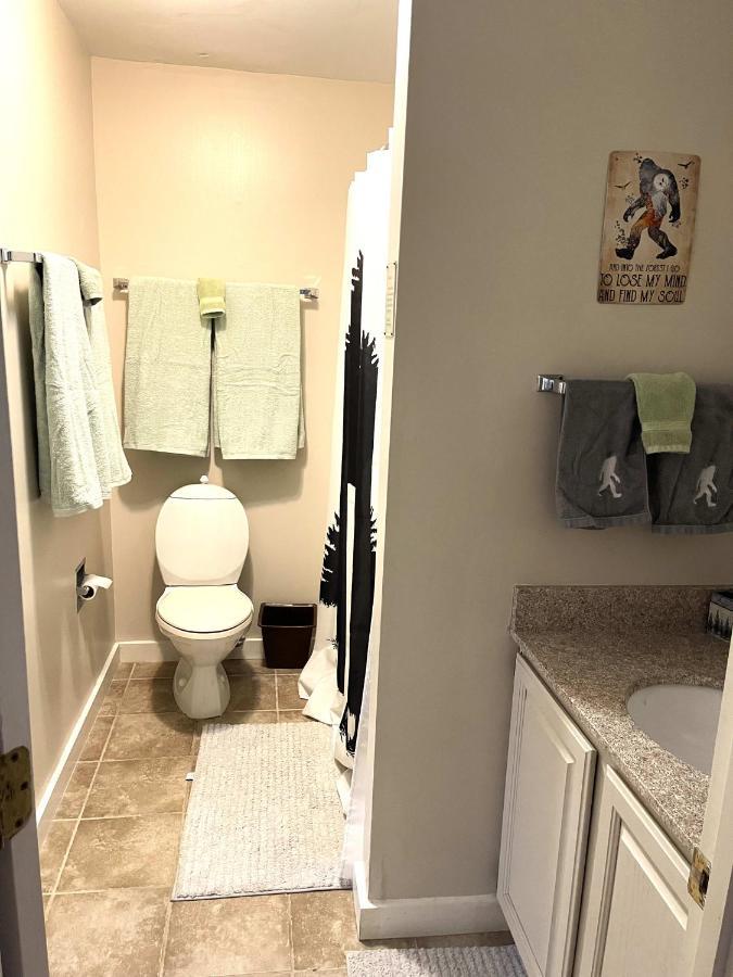 Unique Yeti-Theme Ski On Off Suite Jiminy-Sleeps 4 Hancock Bagian luar foto